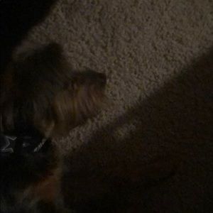 Meet your Posher, Sherry